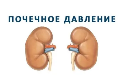 Таблетки від підвищеного ниркового тиску вибір для лікування (таблетки) Таблетки від підвищеного ниркового тиску вибір для лікування