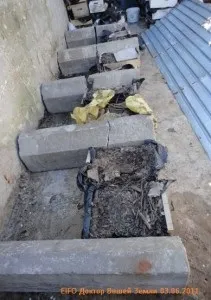 Технологія розведення черв'яків яка основна в домашніх умовах (яка) Технологія розведення черв'яків яка основна в домашніх умовах