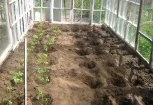 Теплі грядки в теплиці своїми руками підігрів землі і грунту обігрів, полікарбонат зробити, навесні (теплі) Теплі грядки в теплиці своїми руками підігрів землі і грунту обігрів, полікарбонат зробити, навесні