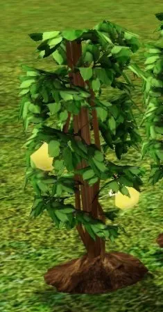 The sims 3 плід життя, плід життя Сімс 3 код (виростити плід життя) The sims 3 плід життя, плід життя Сімс 3 код