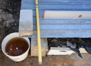 Технологія розведення черв'яків яка основна в домашніх умовах (яка) Технологія розведення черв'яків яка основна в домашніх умовах