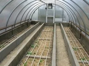 Теплиця з підігрівом землі своїми руками (теплиця з підігрівом землі своїми руками) Теплиця з підігрівом землі своїми руками