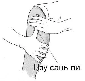 Точки для схуднення на тілі, де вони знаходяться (точки для схуднення на тілі) Точки для схуднення на тілі, де вони знаходяться