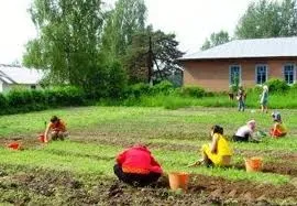 Трудова відпрацювання - чи законно це