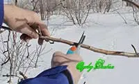 Вчимося прищеплювати