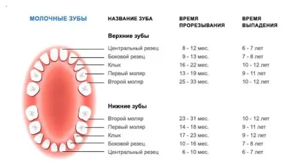 Видалення молочних зубів у дітей свідчення, ціна (скільки коштує видалити молочні зуби) Видалення молочних зубів у дітей свідчення, ціна