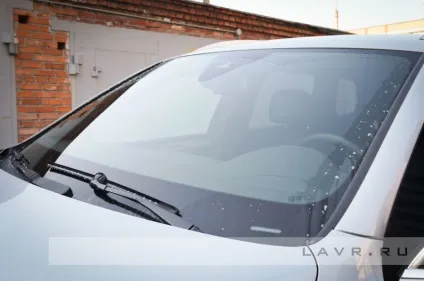 Видаляємо сліди комах з лобового скла і кузова автомобіля (кузова) Видаляємо сліди комах з лобового скла і кузова автомобіля
