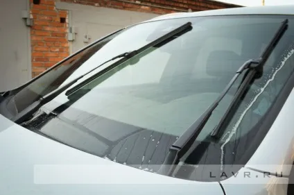 Видаляємо сліди комах з лобового скла і кузова автомобіля (дтп) Видаляємо сліди комах з лобового скла і кузова автомобіля