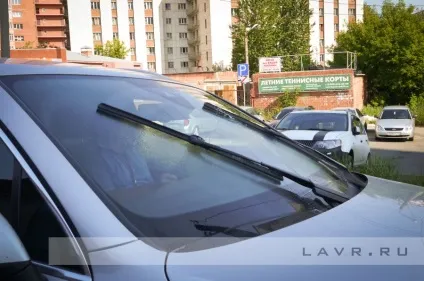 Видаляємо сліди комах з лобового скла і кузова автомобіля (дорога) Видаляємо сліди комах з лобового скла і кузова автомобіля