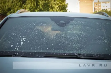 Видаляємо сліди комах з лобового скла і кузова автомобіля (авто) Видаляємо сліди комах з лобового скла і кузова автомобіля