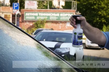 Видаляємо сліди комах з лобового скла і кузова автомобіля (скла) Видаляємо сліди комах з лобового скла і кузова автомобіля