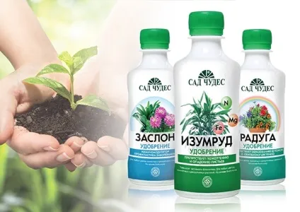 Добриво для фіалок для цвітіння види і форми (види) Добриво для фіалок для цвітіння види і форми