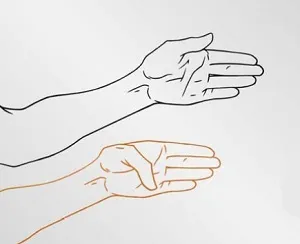 Вправи для зміцнення суглобів, очищення організму здоров'я людини (суглобів) Вправи для зміцнення суглобів, очищення організму здоров'я людини
