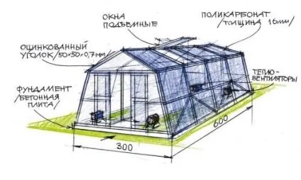 Укорінення вусів полуниці