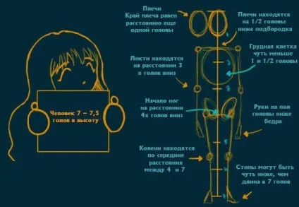 Урок фігури і пропорції наша творчість, малювання, вироби, робимо самі, своїми руками (Висота фігури довжин) Урок фігури і пропорції наша творчість, малювання, вироби, робимо самі, своїми руками