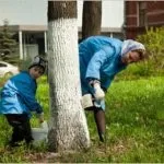 Варіант створення різних деталей на основі залишків ламінату (деталей) Варіант створення різних деталей на основі залишків ламінату