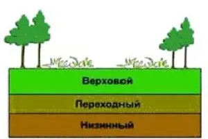 У чому різниця між верхівковим і низинним торфом - особливості вибору (нейтральної слабокислою реакцією) У чому різниця між верхівковим і низинним торфом - особливості вибору