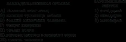 Вузька спеціалізація