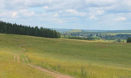 Вакутін (сірий) камінь