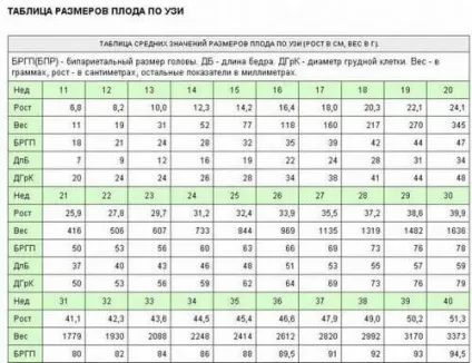 Узі в 2, 3 триместрі вагітності норми, розшифровка, терміни узі скринінгу (вагітності) Узі в 2, 3 триместрі вагітності норми, розшифровка, терміни узі скринінгу