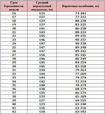 Узі в 2, 3 триместрі вагітності норми, розшифровка, терміни узі скринінгу (норми) Узі в 2, 3 триместрі вагітності норми, розшифровка, терміни узі скринінгу