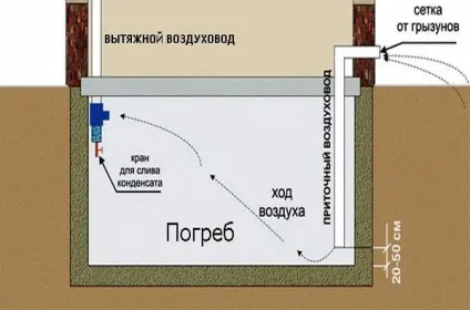 Вентиляція в погребі