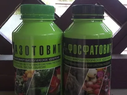 Вибір добрив для живлення рослин