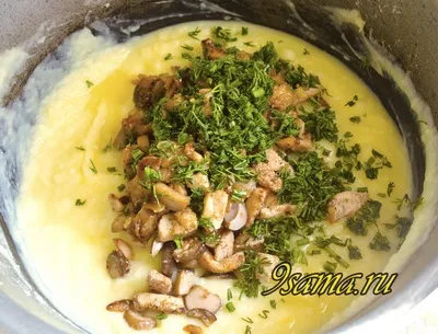 Суп пюре з грибами і куркою, я сама щаслива домогосподарка (смачні рецепти) Суп пюре з грибами і куркою, я сама щаслива домогосподарка