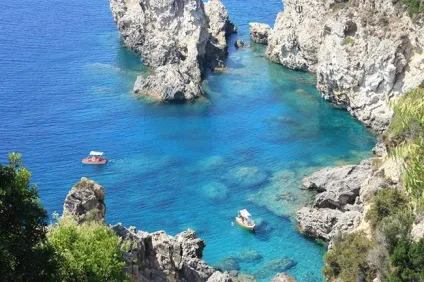 Весілля Олени Водонаєвої