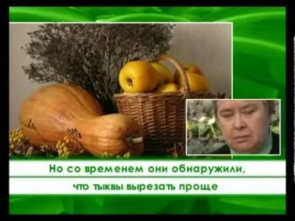 Вирощування мускатною гарбуза - сорти і правила догляду (сорти) Вирощування мускатною гарбуза - сорти і правила догляду