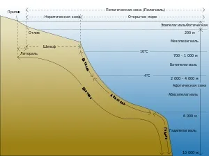 водна екосистема