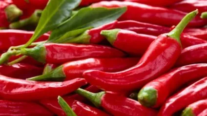 Ви помітили тягу до певних продуктів дізнайтеся, що це означає (дізнайтеся) Ви помітили тягу до певних продуктів дізнайтеся, що це означає