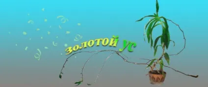 Запалення жировика причини, симптоми і лікування (жировика) Запалення жировика причини, симптоми і лікування