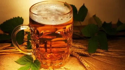 Все, що потрібно знати любителю пива (пиво було смачним) Все, що потрібно знати любителю пива