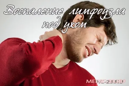 Запалився лімфовузол під вухом як в таких випадках проводиться діагностика і терапія захворювання (запалився) Запалився лімфовузол під вухом як в таких випадках проводиться діагностика і терапія захворювання