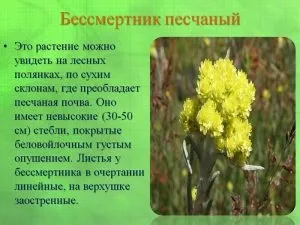 Холестеринові камені в жовчному міхурі симптоми і лікування (міхурі) Холестеринові камені в жовчному міхурі симптоми і лікування