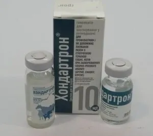 Хондартрон для кішок спосіб застосування і відгуки (застосування) Хондартрон для кішок спосіб застосування і відгуки