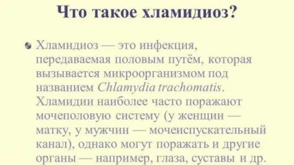 Хламідіоз, мікоплазмоз, уреаплазмоз симптоми і лікування - живи здорово