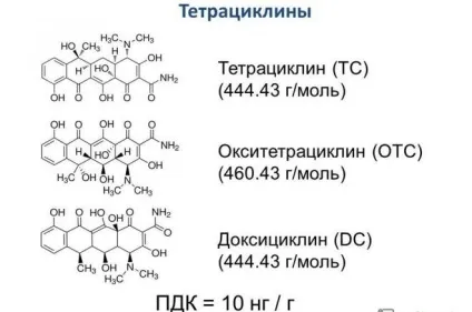 Хламідіоз, мікоплазмоз, уреаплазмоз симптоми і лікування - живи здорово