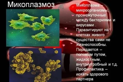 Хламідіоз, мікоплазмоз, уреаплазмоз симптоми і лікування - живи здорово