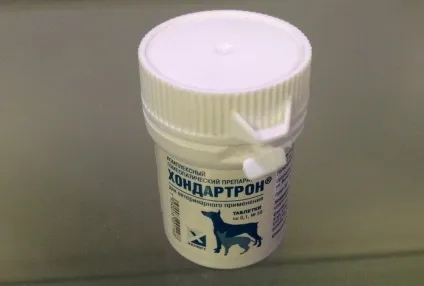 Хондартрон для кішок спосіб застосування і відгуки (препарат) Хондартрон для кішок спосіб застосування і відгуки