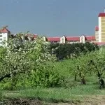 Яблуневий сад (35 фото) відео-інструкція по вирощуванню своїми руками, особливо закладки, схема (фото) Яблуневий сад (35 фото) відео-інструкція по вирощуванню своїми руками, особливо закладки, схема