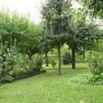 Яблуневий сад (35 фото) відео-інструкція по вирощуванню своїми руками, особливо закладки, схема (руками) Яблуневий сад (35 фото) відео-інструкція по вирощуванню своїми руками, особливо закладки, схема