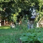 Яблуневий сад (35 фото) відео-інструкція по вирощуванню своїми руками, особливо закладки, схема (яблуневий сад закладка як посадити схема посадки) Яблуневий сад (35 фото) відео-інструкція по вирощуванню своїми руками, особливо закладки, схема