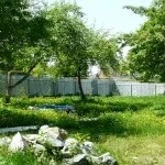 Яблуневий сад (35 фото) відео-інструкція по вирощуванню своїми руками, особливо закладки, схема (яблуневий сад закладка як посадити схема посадки) Яблуневий сад (35 фото) відео-інструкція по вирощуванню своїми руками, особливо закладки, схема