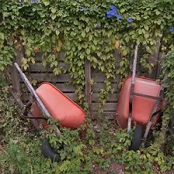 Покинутий ділянку з чого почати облаштування (з чого почати облаштування занедбаного ділянки) Покинутий ділянку з чого почати облаштування