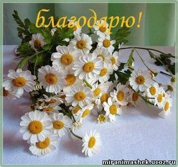 Я тебе вкраду