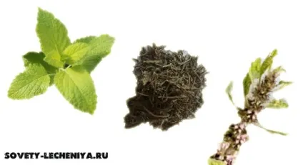 Виразка шлунка, симптоми, причини і лікування народними засобами (симптоми) Виразка шлунка, симптоми, причини і лікування народними засобами