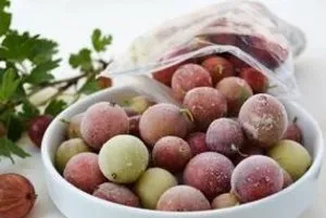 Заготівля агрусу рецепти з ягід на зиму (агрусу) Заготівля агрусу рецепти з ягід на зиму