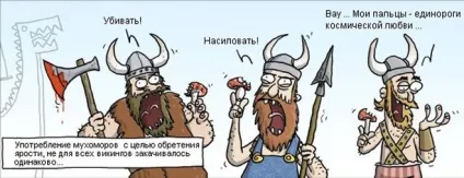 Навіщо вікінги їли мухомори перед походом (перед) Навіщо вікінги їли мухомори перед походом